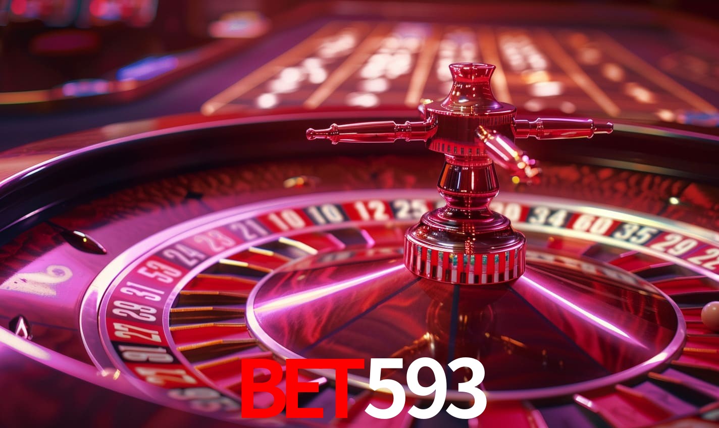 Programa VIP bet593